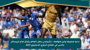 بداية ضعيفة وغير متوقعة.. تشيلسي بطل العالم يتعثر أمام كريستال بالاس في افتتاح الدوري الإنجليزي 2025
